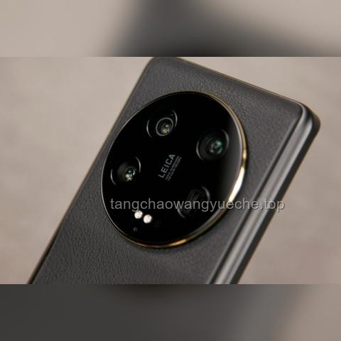 **雷军恳请大家转发辟谣事件的社会影响与信息传播机制对比分析**